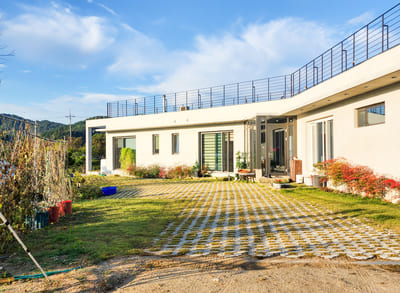 잘 관리된 넓은 잔디 정원