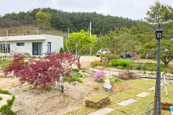 넒은 정원 마당